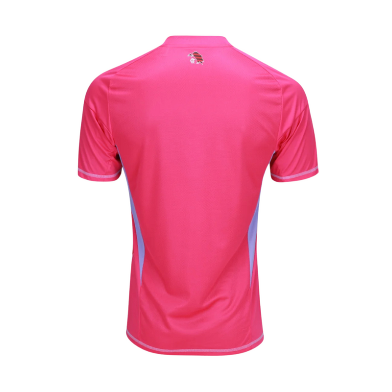 Camisa Goleiro II Flamengo 25/26 - Masculina - Rosa+Azul