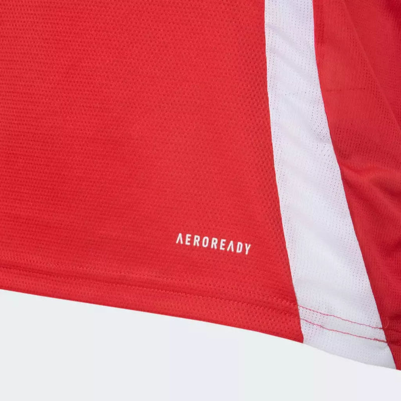 Camisa SC Internacional 2025/26 Home - Torcedor Masculina