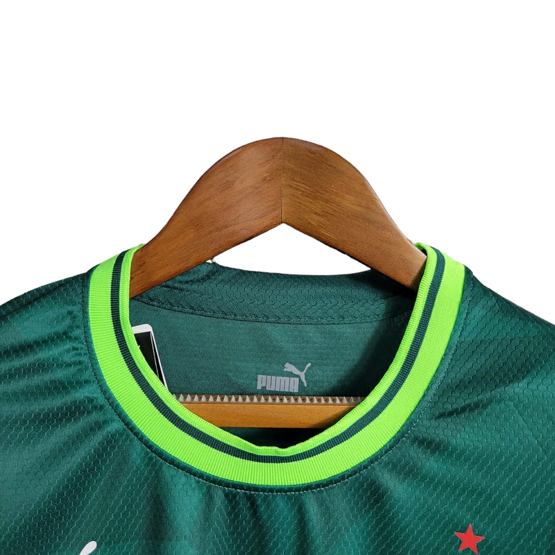 Camisa Oficial do Palmeiras - 23/24 - Feminina - Versão Torcedor - Personalizável